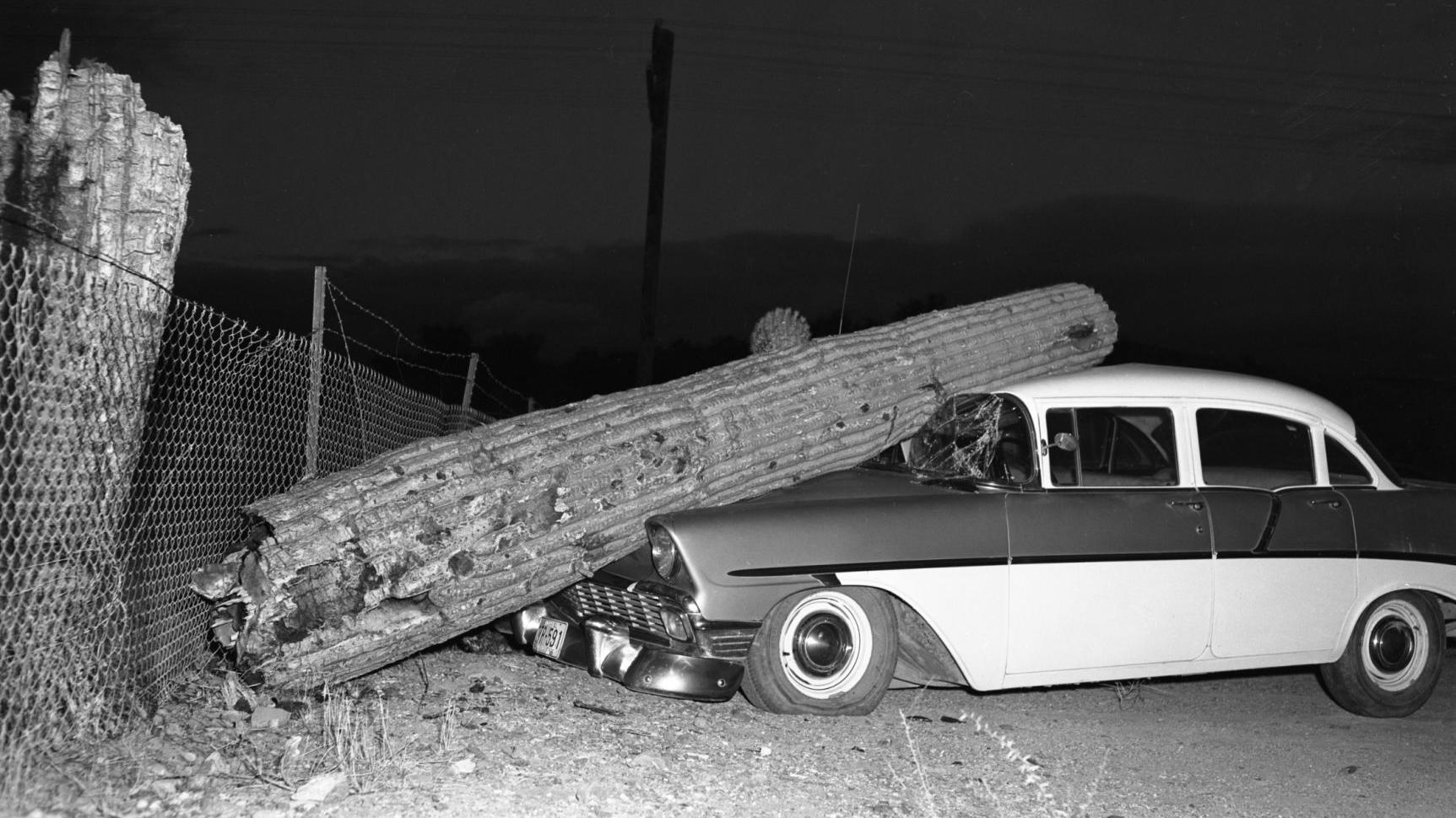 A look at what life was like in Tucson in the early 1960s